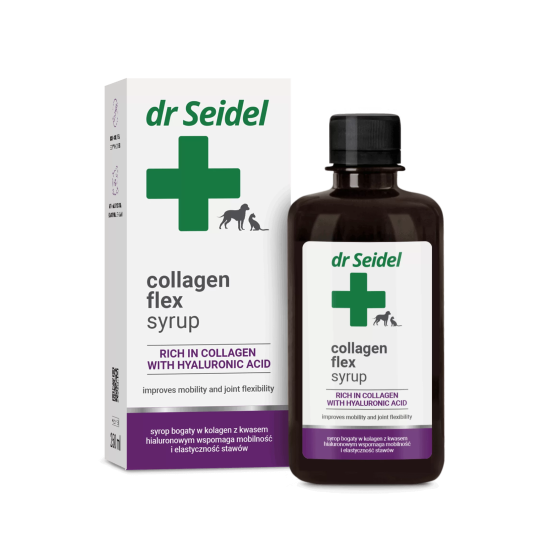 Sirop pentru imunitatea naturală a organismului, IMMUNO SYRUP, Dr. Seidel , 250 ml