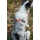10838399 WILD Jungle Collar S