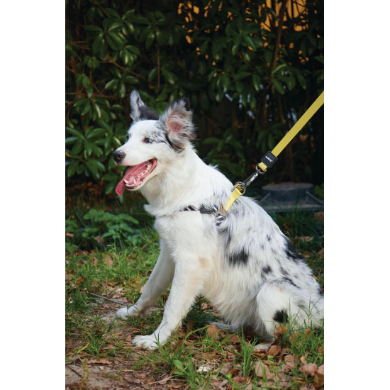 10837499 WILD Safari Harness XS