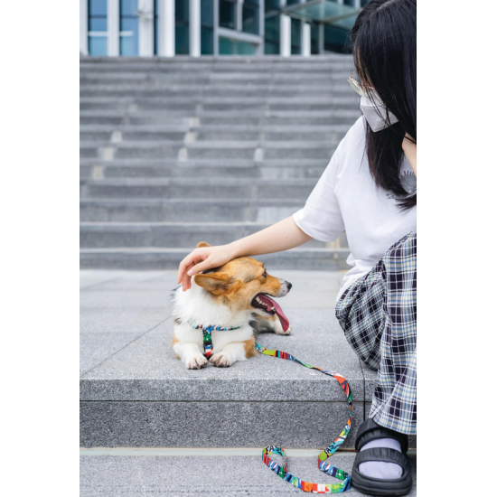 10834799 URBAN STYLE Freestyle Leash M 10834799 URBAN STYLE Freestyle Leash M