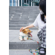 10834799 URBAN STYLE Freestyle Leash M 10834799 URBAN STYLE Freestyle Leash M