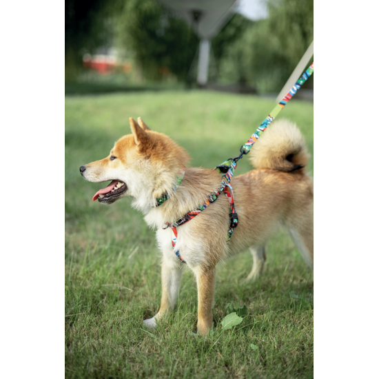 10834799 URBAN STYLE Freestyle Leash M 10834799 URBAN STYLE Freestyle Leash M