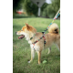 10834799 URBAN STYLE Freestyle Leash M 10834799 URBAN STYLE Freestyle Leash M