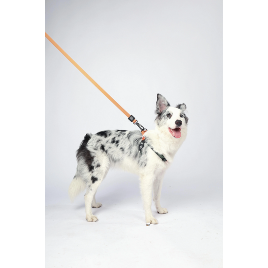 10838199 WILD Jungle Regular Leash S/M