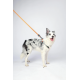 10838199 WILD Jungle Regular Leash S/M