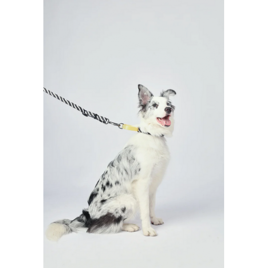 10837099 WILD Safari Collar S