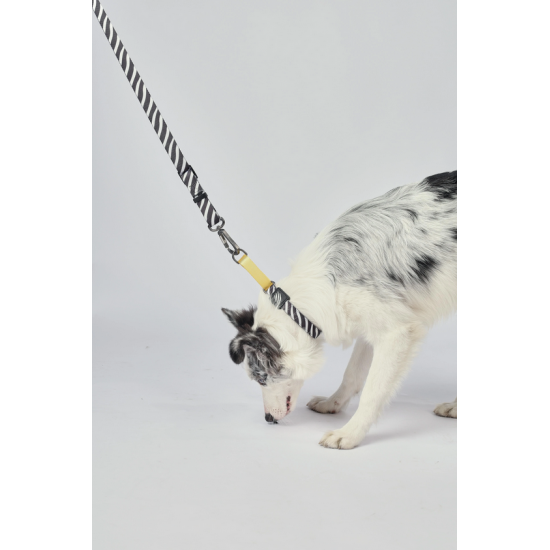 10837099 WILD Safari Collar S