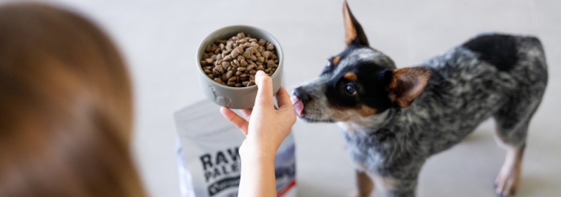 Cum arată hrana ideală pentru câini?
