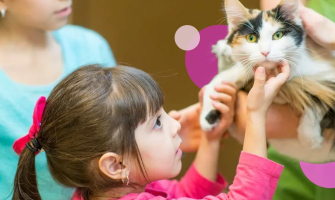 20 de întrebări pe care trebuie să le pui înainte de a adopta o pisică