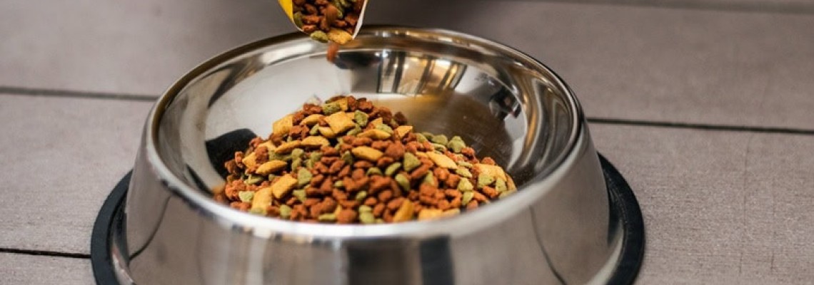 Cum să citești etichetele hranei pentru câini – compoziție și aditivi