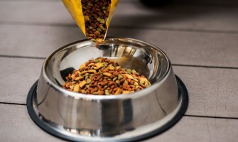 Cum să citești etichetele hranei pentru câini – compoziție și aditivi