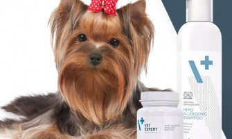 Cum protejam pielea prietenului nostru blanos iarna?