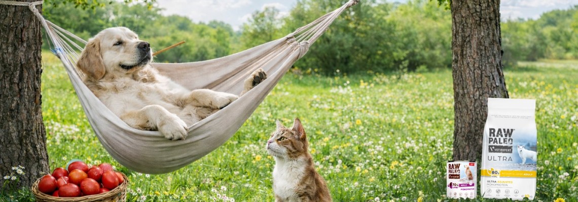 Bucuria Paștelui alături de prietenii noștri necuvântători: Gânduri bune de la Gopet