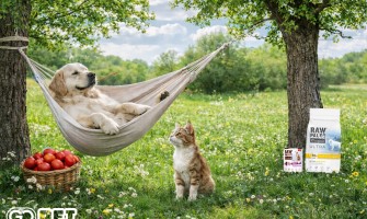 Bucuria Paștelui alături de prietenii noștri necuvântători: Gânduri bune de la Gopet