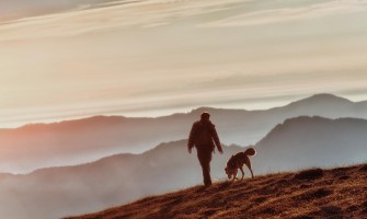 Prezentare Raw Paleo