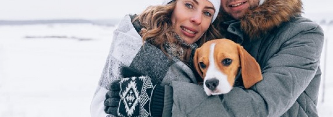 Cum să ai grijă de un câine în timpul iernii? Ghidul tutorelui Cum să ai grijă de un câine în timpul iernii? Ghidul tutorelui