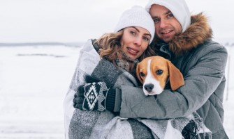 Cum să ai grijă de un câine în timpul iernii? Ghidul tutorelui