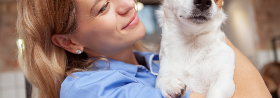 Sfaturi și trucuri pentru manipularea respectuoasă a câinilor și pisicilor în clinică