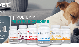 Vet Expert, brandul nr 1 in recomandarea medicilor veterinari