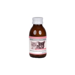 Supliment Nutrițional pentru Pisici și Câini de Talie Mică, ReConvales® Dolor, 90ml Supliment Nutrițional pentru Pisici și Câini de Talie Mică, ReConvales® Dolor, 90ml