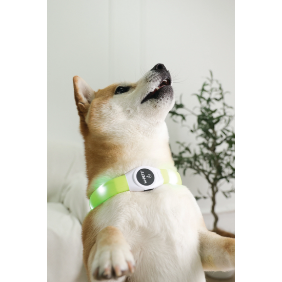 Zgardă LED reîncărcabilă pentru câini M-PETS FLASH Green 10855399 S