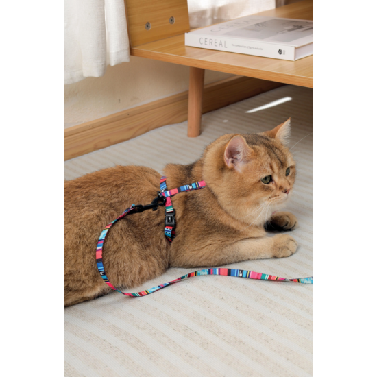 20801499 URBANSTYLE Jazz Stripes Cat ECO SET (harness & leash)