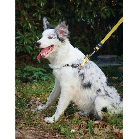 Lesă pentru câini M-PETS Wild Safari Regular L-XL cu mâner moale 10836999