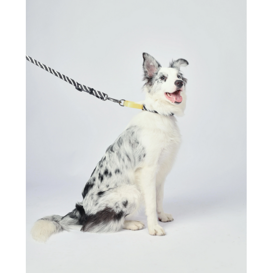 M-PETS Wild Safari Regular Leash S-M – lesă rezistentă și confortabilă pentru câini