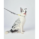 M-PETS Wild Safari Regular Leash S-M – lesă rezistentă și confortabilă pentru câini
