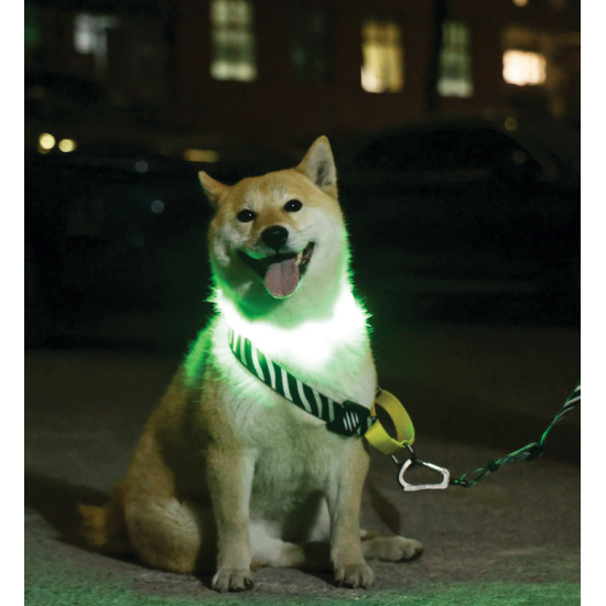 Zgardă LED reîncărcabilă pentru câini M-PETS FLASH Green 10855799 L