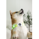 Zgardă LED reîncărcabilă pentru câini M-PETS FLASH Green 10855799 L