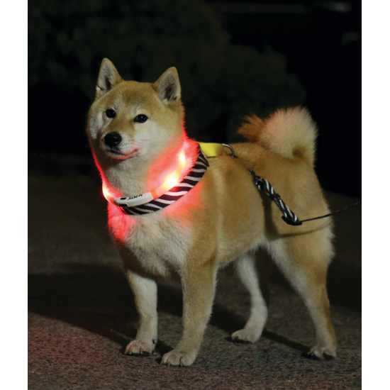 zgardă LED reîncărcabilă pentru câini M-PETS FLASH Orange USB vizibilă până la 300m
