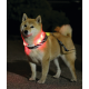 zgardă LED reîncărcabilă pentru câini M-PETS FLASH Orange USB vizibilă până la 300m