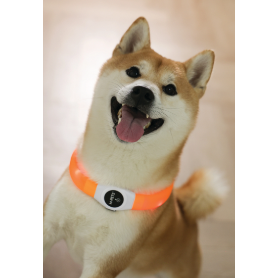 zgardă LED reîncărcabilă pentru câini M-PETS FLASH Orange USB vizibilă până la 300m