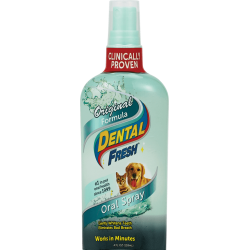 Dental Fresh ORIGINAL FORMULA SPRAY, Synergy Labs, 118 ml