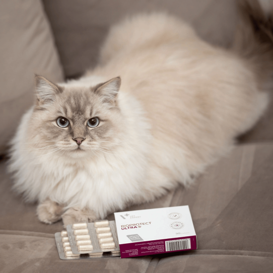 Vet Expert Bioprotect Ultra probiotic pentru câini și pisici