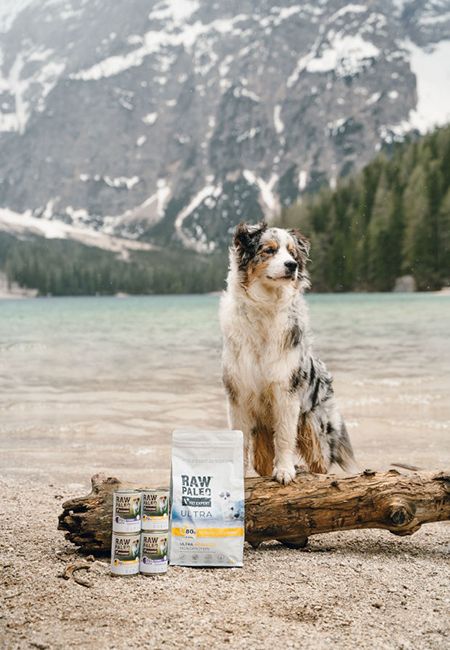 Hrană pentru câini RAW PALEO