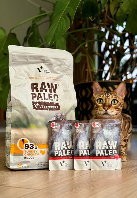 Hrană pentru pisici RAW PALEO
