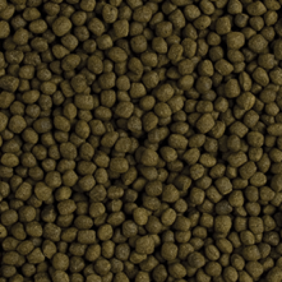 Aliment plutitor pentru ciclidele Flower Horn, adult, TROPICAL Fish-Flower, Pellet 1000ML/380G Aliment plutitor pentru ciclidele Flower Horn, adult, TROPICAL Fish-Flower, Pellet 1000ML/380G