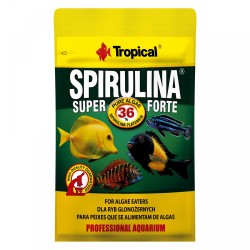 SPIRULINA FORTE Tropical Fish, 36%, 12g SPIRULINA FORTE Tropical Fish, 36%, 12g