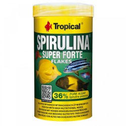 SPIRULINA FORTE Tropical Fish, 36% 250ml/ 50g