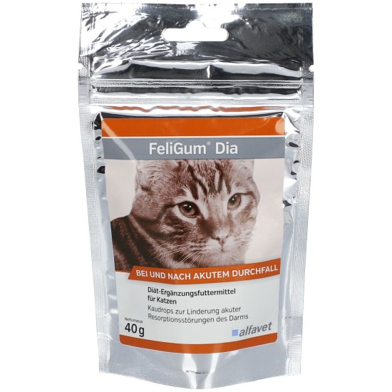 Picaturi pentru ameliorarea tulburărilor acute de absorbție a intestinului la pisici, FELIGUM DIA, Alfavet, 40g Picaturi pentru ameliorarea tulburărilor acute de absorbție a intestinului la pisici, FELIGUM DIA, Alfavet, 40g