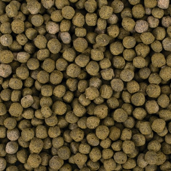 Hrana pentru pesti KOI, TROPICAL Fish, SPIRULINA, pellet M- 7 KG Hrana pentru pesti KOI, TROPICAL Fish, SPIRULINA, pellet M- 7 KG