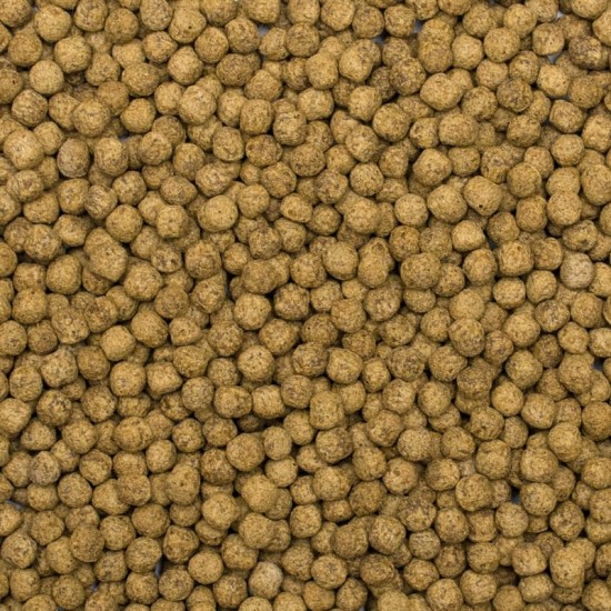 Hrana pentru pesti KOI, TROPICAL Fish, viermi de matase si astaxantina, pellet S-7 KG