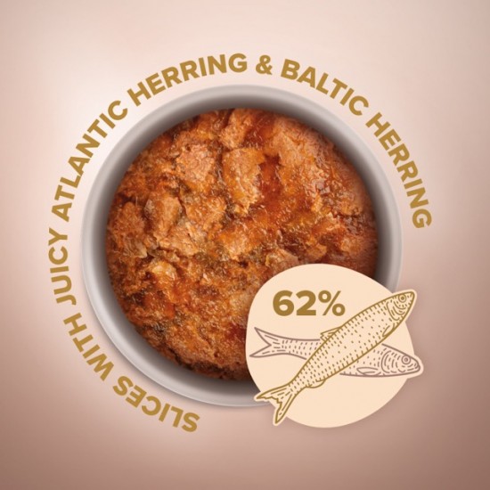 Club 4 Paws Plus Selection cu Hering Atlantic și Baltic în Jeleu pentru Pisici 80 g