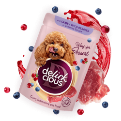 Delickcious Flakes cu Miel și Fructe de Pădure în Sos Cremos – hrană complementară pentru câini, 80 g