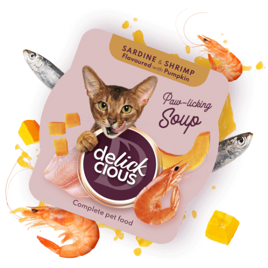 Delickcious Supă de Sardine cu Creveți și Dovleac pentru Pisici 80 g