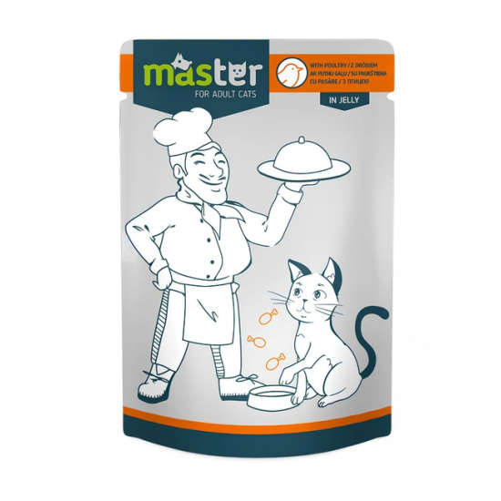 MASTER hrană umedă pisici adulte cu pasăre în jeleu 80 g