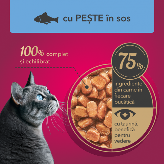 My Love cu Pește în Sos hrană umedă pentru câini adulți 100 g