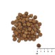 Hrana uscata pentru catei, RAW PALEO HEALTHY GRAIN, somon, 2kg